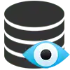 preview option