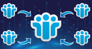 NSF-Merge-Software--The-Best-of-all