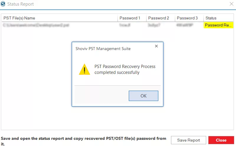 Save Password Recovery Report